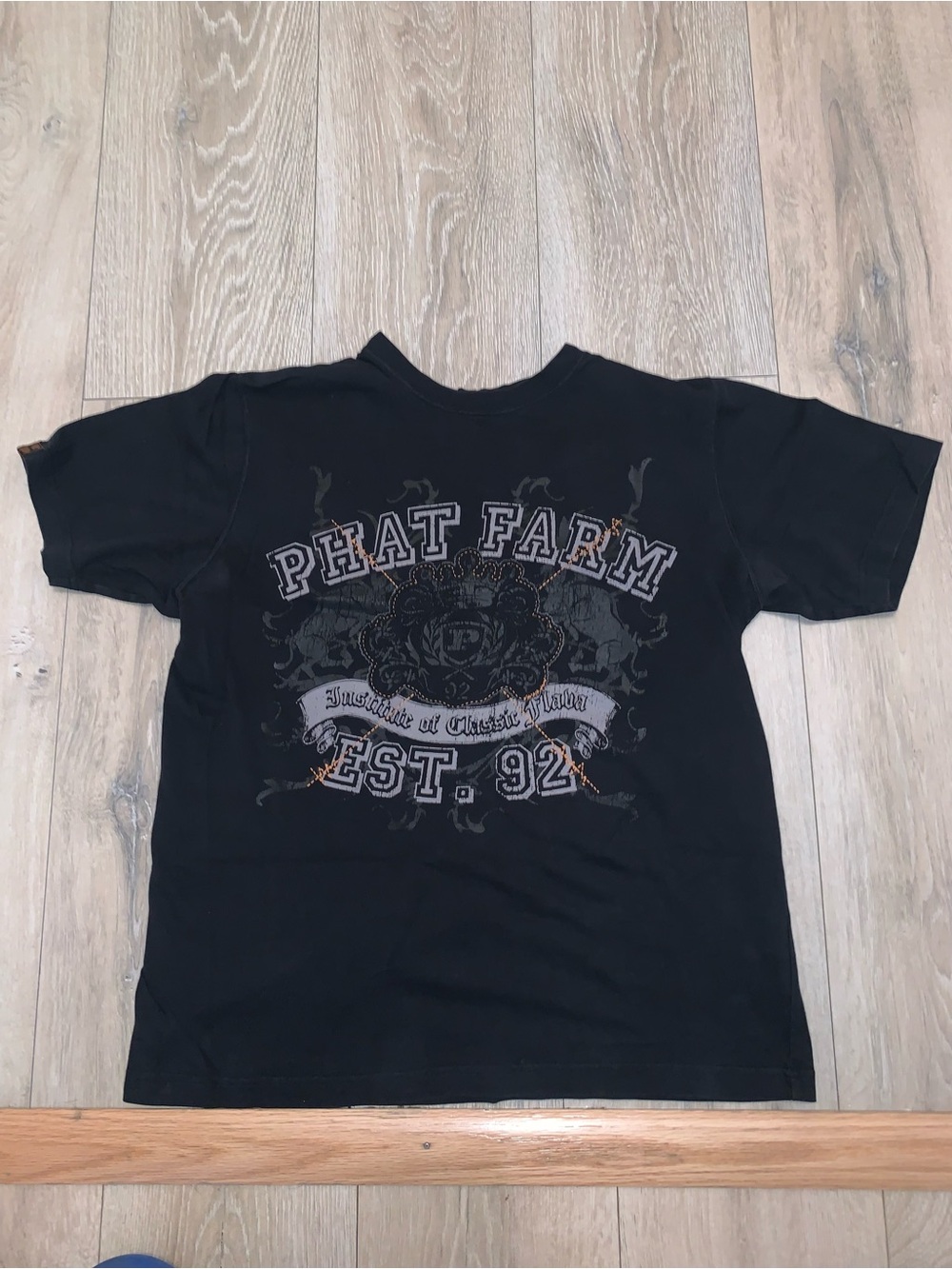 Vintage Y2K Phat Farm Institute of Classic Flava Black T-Shirt Size: Large
